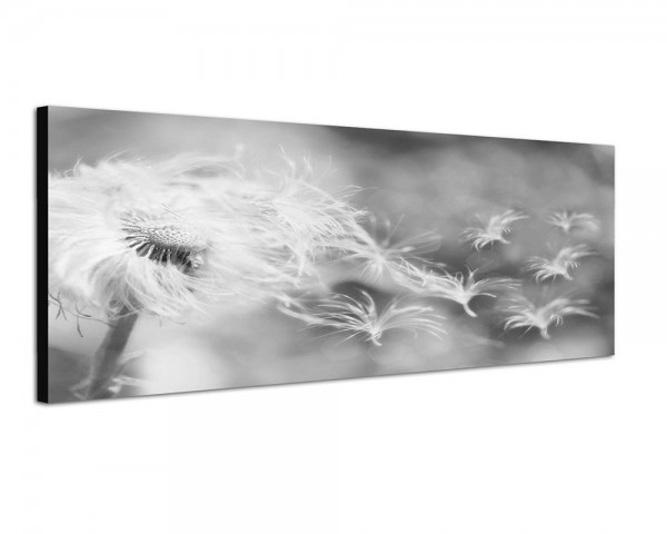 150x50cm Pusteblume Löwenzahn Windstoß filter