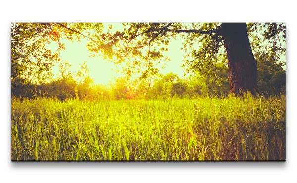 Leinwandbild 120x60cm Natur Baum Feld Sommer Sonnenstrahlen Schön Beruhigend