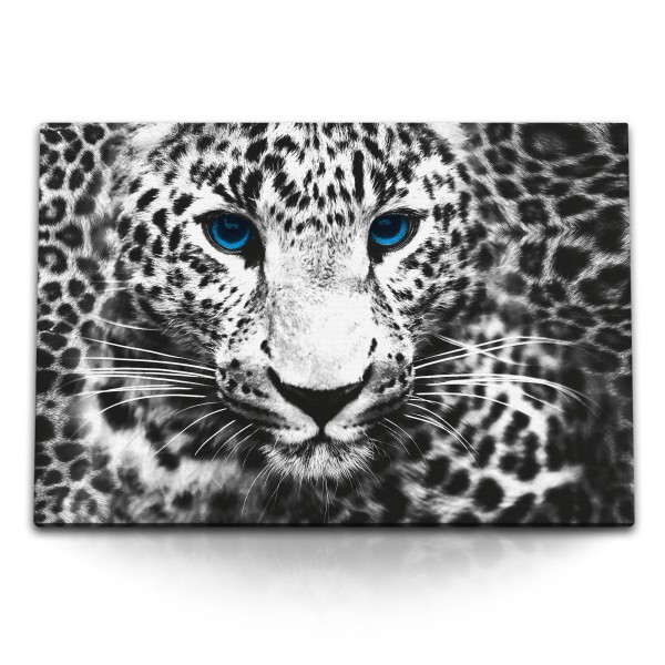 120x80cm Wandbild auf Leinwand Leopard Raubkatze blaue Augen Fotokunst