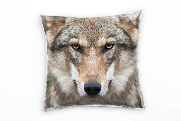 Tiere, braun, Wolf, Portrait Deko Kissen 40x40cm für Couch Sofa Lounge Zierkissen