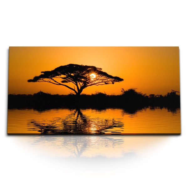 Kunstdruck Bilder 120x60cm Burkea afrikanischer Baum Sonnenuntergang Afrika See