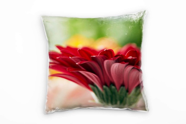 Macro, Blumen, Blütenblätter, rot, grün, orange Deko Kissen 40x40cm für Couch Sofa Lounge Zierkissen
