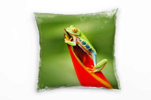 Tiere, Rotaugenlaubfrosch, grün, rot Deko Kissen 40x40cm für Couch Sofa Lounge Zierkissen