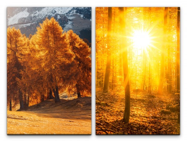 2 Bilder je 60x90cm Bäume Wald Herbst Sonnenschein warmes Licht Erholsam positive Energie