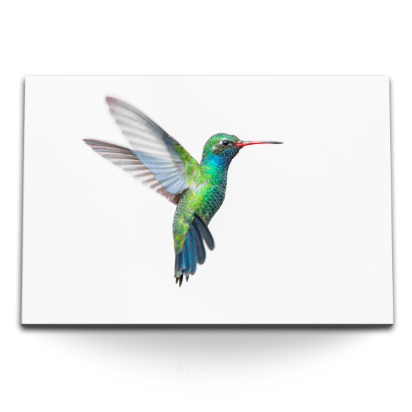 120x80cm Wandbild auf Leinwand Kleiner Vogel Kolibri weißer Hintergrund Fotokunst