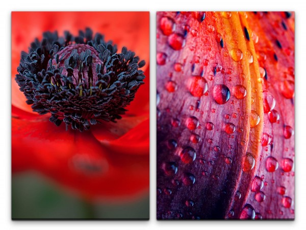 2 Bilder je 60x90cm Mohnblume Bachblüte Blumen Blüte Rot Wassertropfen Makrofotografie
