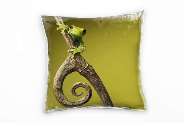 Tiere, grün, braun, Frosch auf einem geschwungene Ast Deko Kissen 40x40cm für Couch Sofa Lounge Zier