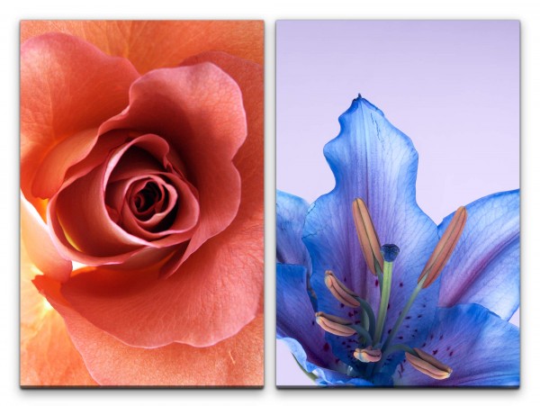 2 Bilder je 60x90cm Rosenblüte Blumen blaue Blüte Sommer Duftend Dekorativ Makrofotografie