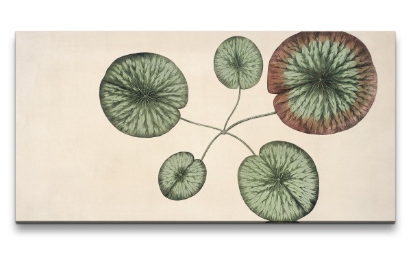 Remaster 120x60cm Victoria Regia Berühmtes Bild Wasserlilie Blätter Vintage Dekorativ