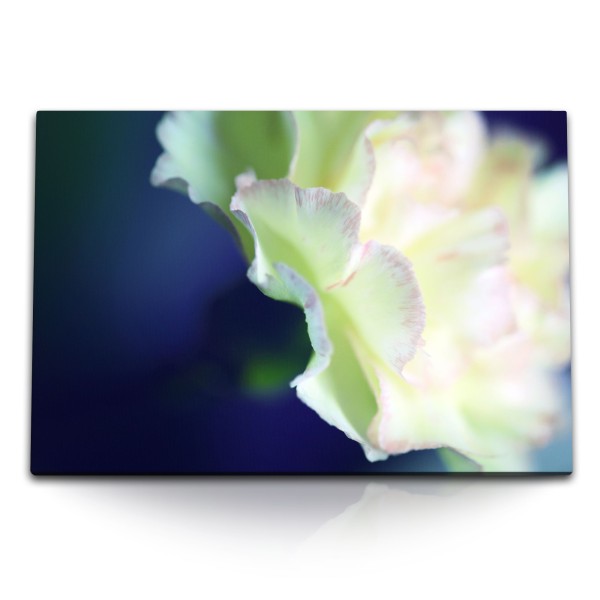 120x80cm Wandbild auf Leinwand Weiße Blume Blüte Blau Kunstvoll Makrofotografie