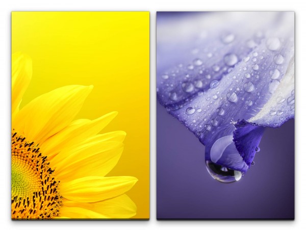 2 Bilder je 60x90cm Sonnenblume Gelb Violett Tropfen Nahaufnahme Blumen Sommer