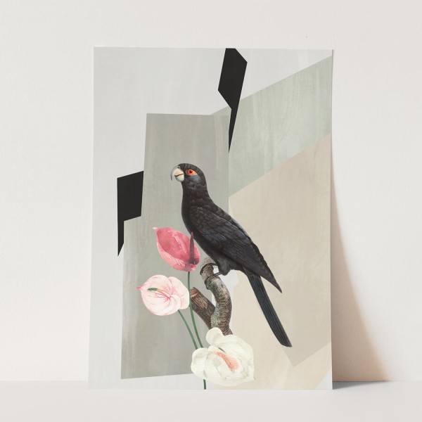 Vogel Motiv schwarzer Papagei exklusives Design Kunstvoll Pastelltöne