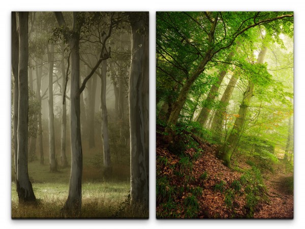 2 Bilder je 60x90cm Wald Bäume Blätter Natur Entspannend Einsam Stille