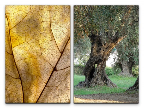 2 Bilder je 60x90cm Blatt Golden Olivenbaum Blattstruktur Dekorativ Natur Fotokunst