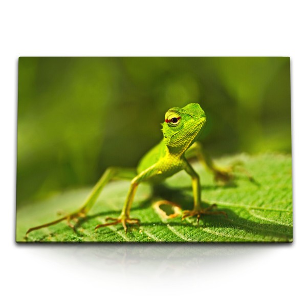 120x80cm Wandbild auf Leinwand Kleine Echse Reptil Grün Natur Tierfotografie
