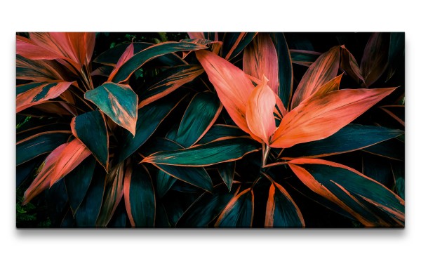 Leinwandbild 120x60cm Exotische Pflanze Tropisch Kunstvoll Rot Dekorativ