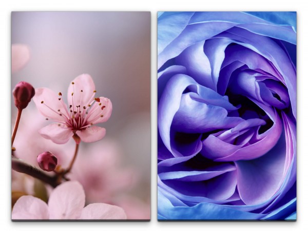 2 Bilder je 60x90cm Frühling Baumblüten Rose Duftend Frisch Dekorativ Feminin