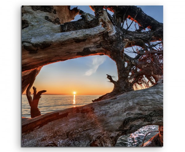 Naturfotografie – Treibholz am Strand bei Sonnenaufgang auf Leinwand