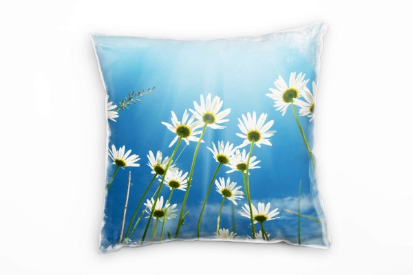 Blumen, blau, grün, weiß, Margeriten, Sonnenschein Deko Kissen 40x40cm für Couch Sofa Lounge Zierkis