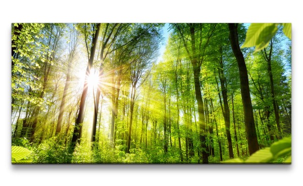 Leinwandbild 120x60cm Wald Natur Sonnenstrahlen Friedlich Bäume Baumkronen Grün