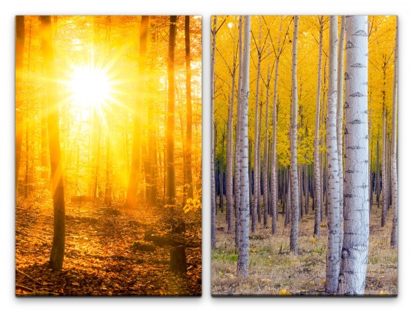 2 Bilder je 60x90cm Wald Birkenwald Sonnenschein Herbst Laub warmes Licht Heilsam