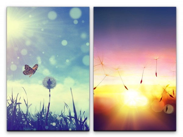2 Bilder je 60x90cm Pusteblume Schmetterling Sonne Sommer Sonnenuntergang Sonnenschein Himmel