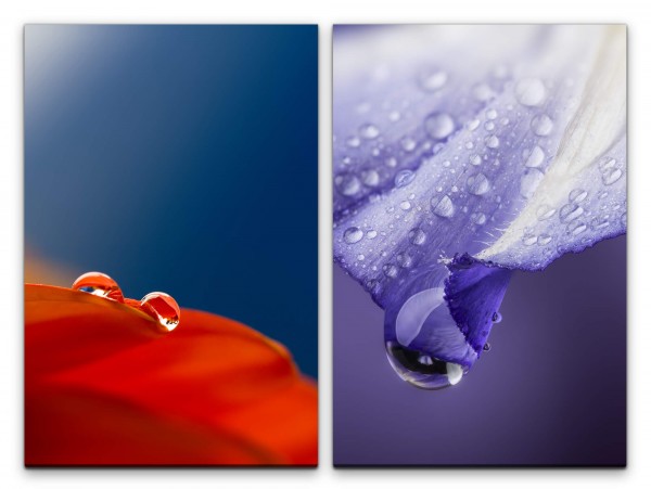 2 Bilder je 60x90cm Blumen Rot Blau Tropfen Morgentau Makro Erfrischend