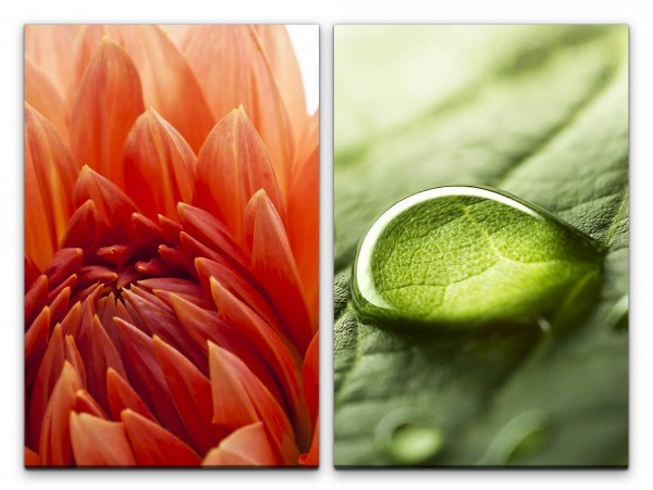 2 Bilder je 60x90cm Dahlie rote Blüte Wassertropfen Regentropfen Grün Pflanze Entspannend
