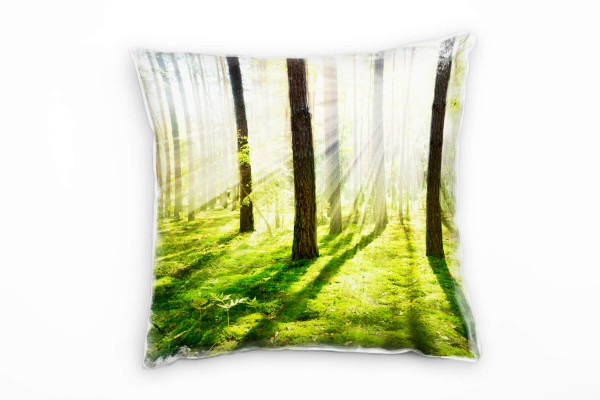 Frühling, Natur, grün, braun, lichtdurchfluteter Wald Deko Kissen 40x40cm für Couch Sofa Lounge Zier
