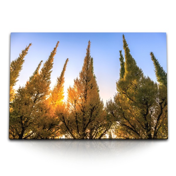 120x80cm Wandbild auf Leinwand Bäume Baumkronen Sonnenschein blauer Himmel
