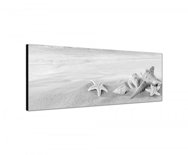 150x50cm Sandstrand Meer Muscheln Schneckenhäuser