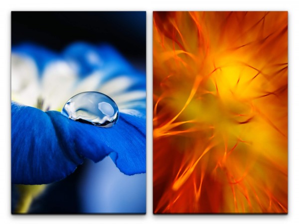 2 Bilder je 60x90cm Blume Schön Tropfen Orange Blau Makro Blüte