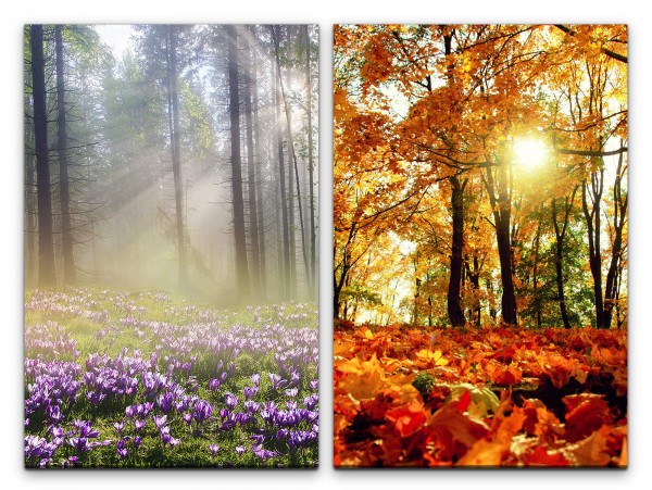 2 Bilder je 60x90cm Wald Natur Waldblumen Herbst Laub Sonnenstrahlen Stille