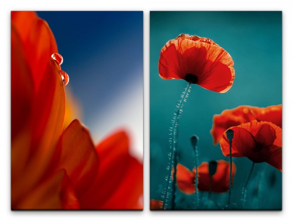 2 Bilder je 60x90cm Rote Blumen Sommer Kunstvoll Fotokunst Mohnblume Warm Wassertropfen