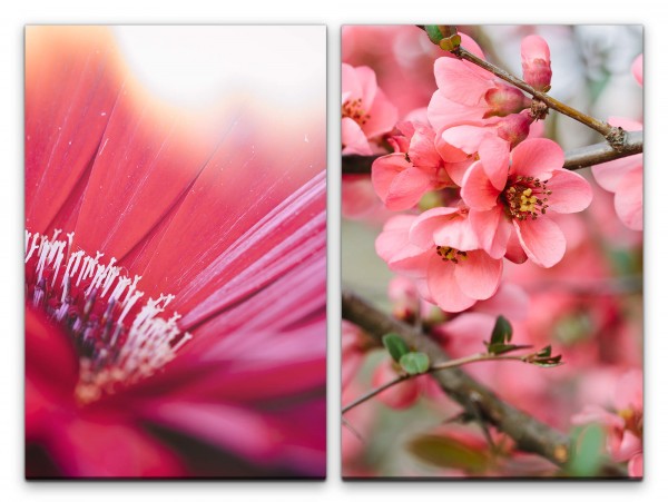2 Bilder je 60x90cm Blüten Baumblüten Frühling Natur warmes Licht Zart Nahaufnahme