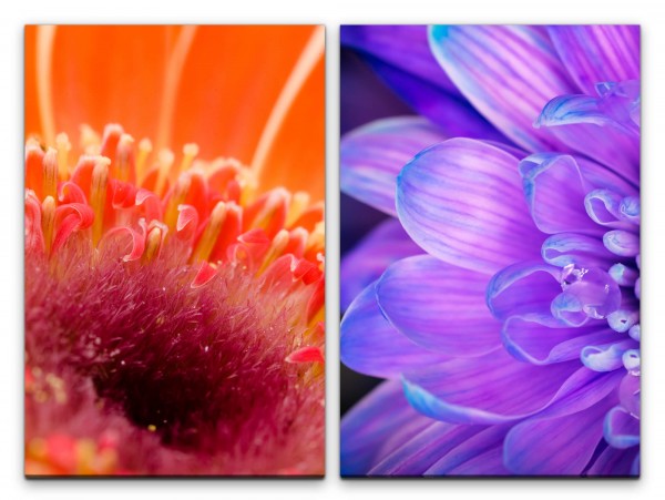 2 Bilder je 60x90cm Blüten Blumen Rot Violett Sommer Flora Makrofotografie