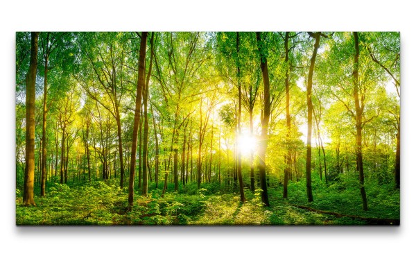 Leinwandbild 120x60cm Grüner Wald Sonnenstrahlen Natur Schön Bäume Harmonie