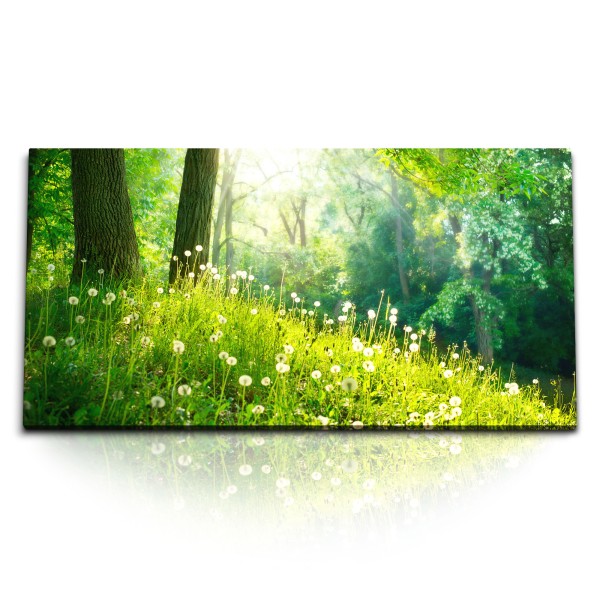 Kunstdruck Bilder 120x60cm Grüne Wiese am Waldrand Natur Pusteblumen Sonnenschein