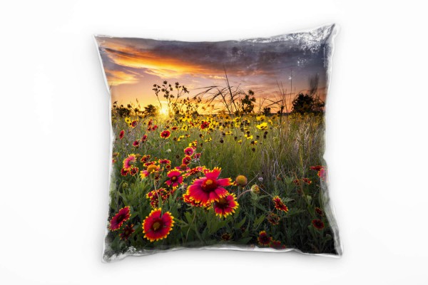 Texas, Blumen, Natur, Frühling, bunt, orange, rot, grün Deko Kissen 40x40cm für Couch Sofa Lounge Zi