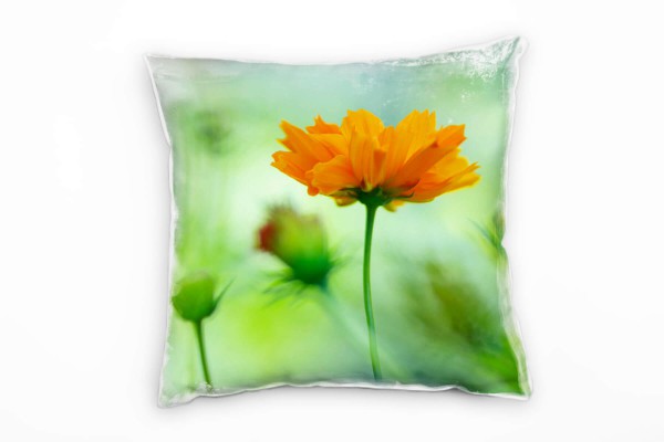 Blumen, grün, orange, Blüte, unscharfer Hintergrund Deko Kissen 40x40cm für Couch Sofa Lounge Zierki