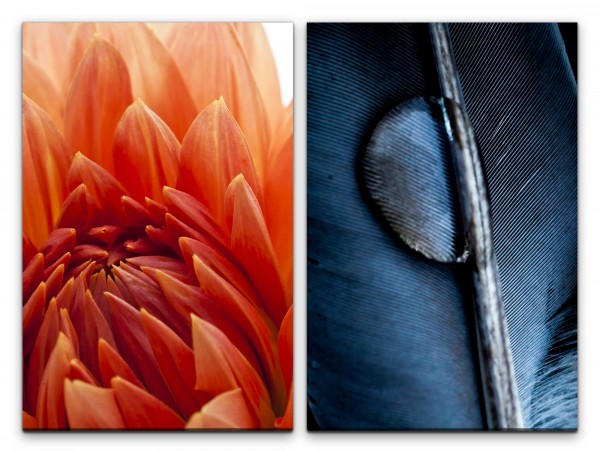 2 Bilder je 60x90cm Dahlie Feder Wassertropfen rote Blume Fotokunst Anthrazit Makrofotografie
