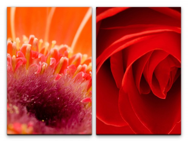 2 Bilder je 60x90cm Rose Blumen Blüten Liebe Rot Leidenschaft Sinnlich