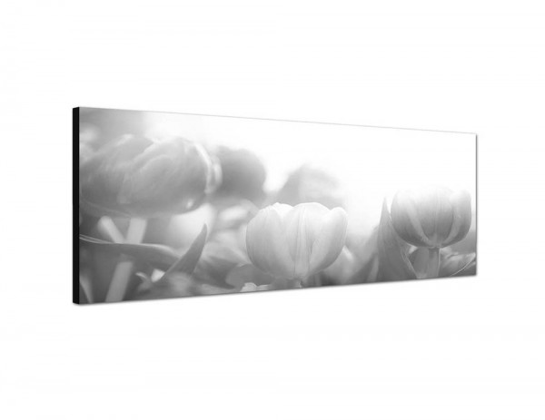 150x50cm Tulpen Frühling Wiese Licht