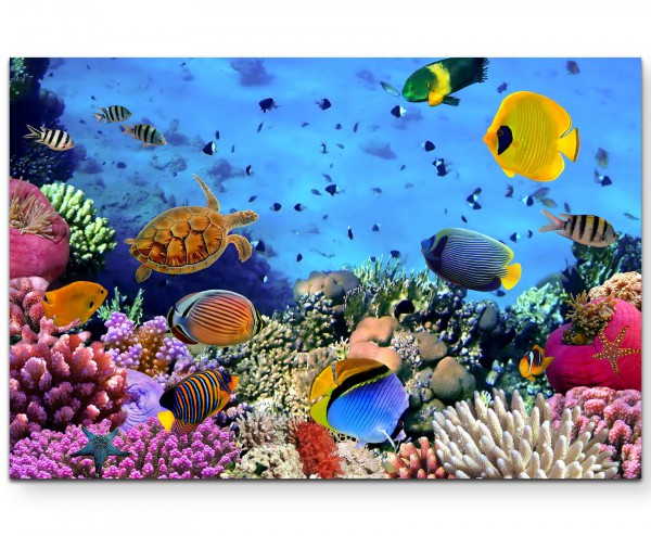Fotografie  Korallenriff im roten Meer - Leinwandbild