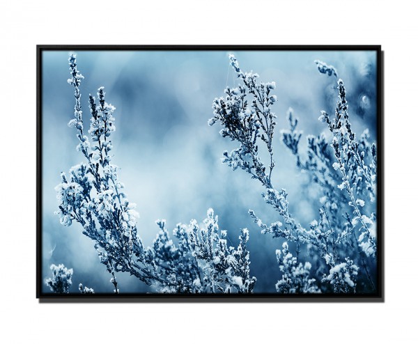 105x75cm Leinwandbild Petrol Natur Heide Blume Makro-Bild