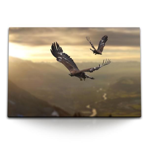 120x80cm Wandbild auf Leinwand Adler in der Luft Berge Natur Tierfotografie