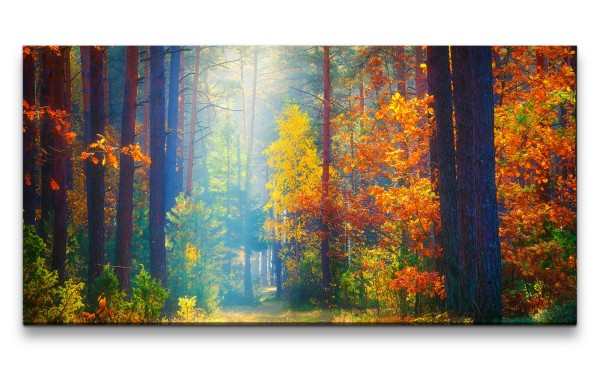 Leinwandbild 120x60cm Schöner Wald Herbst Sonnenstrahl Lichtung Natur