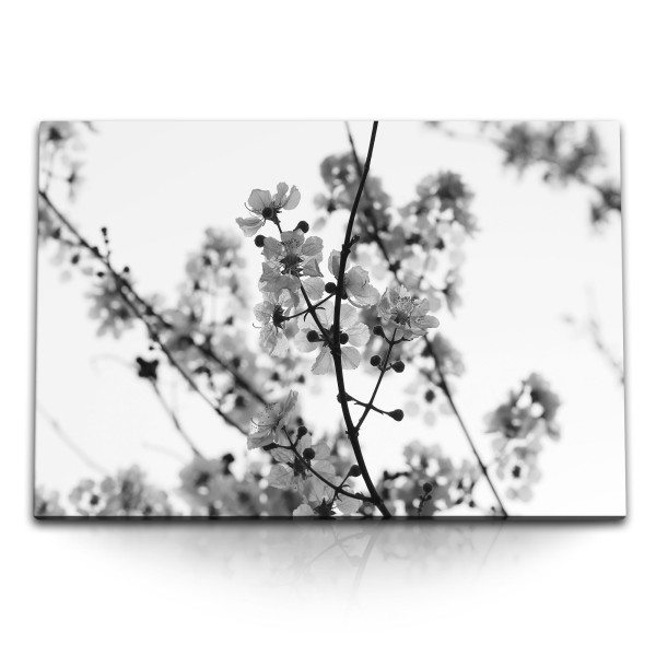120x80cm Wandbild auf Leinwand Schwarz Weiß Fotografie Baumblüten Frühling