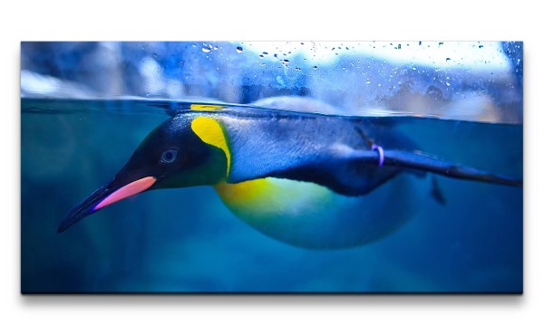 Leinwandbild 120x60cm Pinguin im Wasser Blau Gelb Fotokunst Tierfotografie
