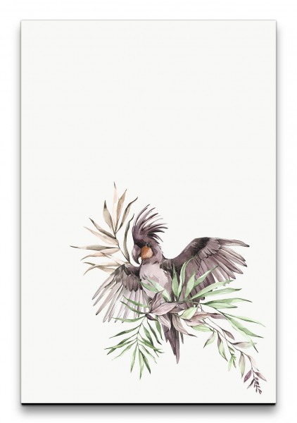 Kakadus Vogel Tropisch Kunstvoll Schön Aquarell